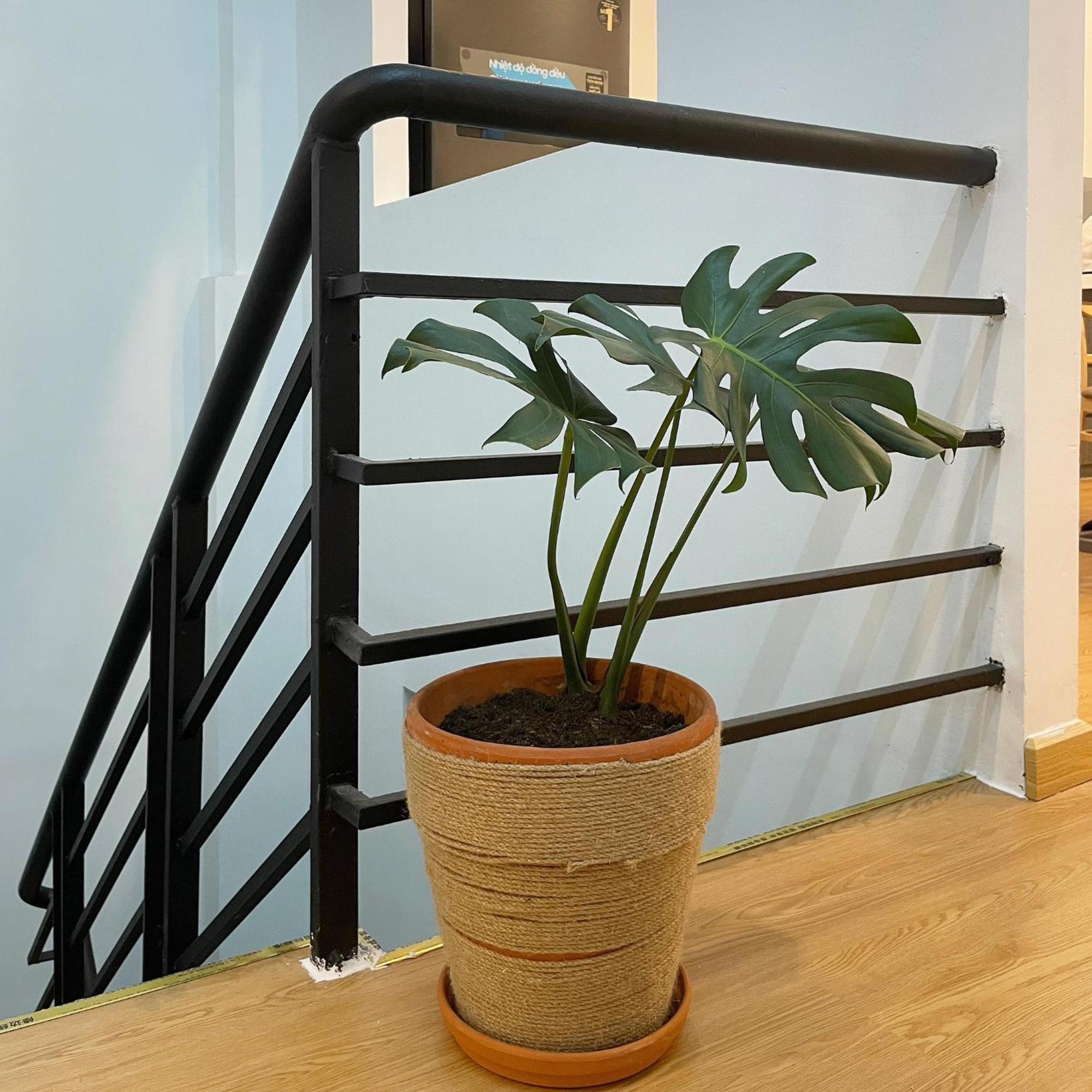 Alphabet Home Capsule Ciudad Ho Chi Minh  Exterior foto